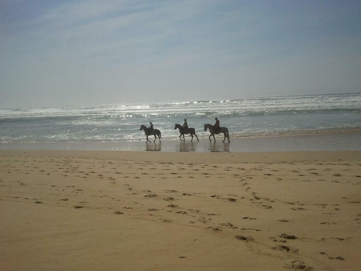 La Pinede Oceane,400M Des Plages Mimizan-Plage エクステリア 写真